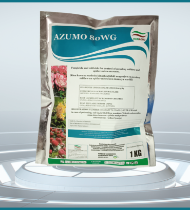 AZUMO 80WG