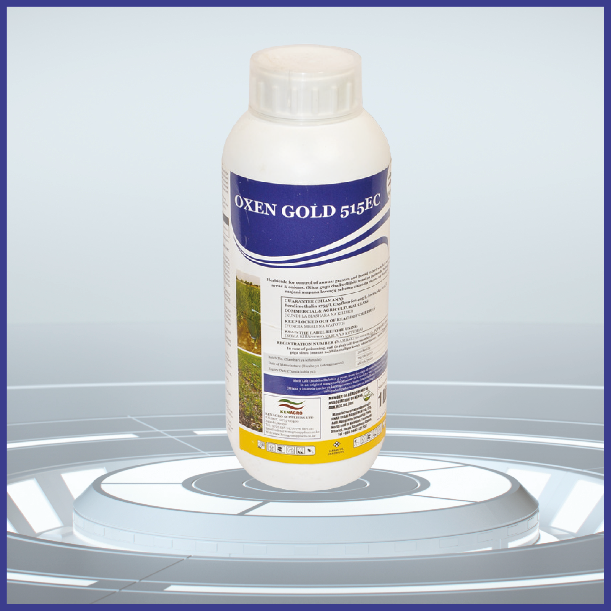 Oxen Gold-01 | Kenagro East Africa