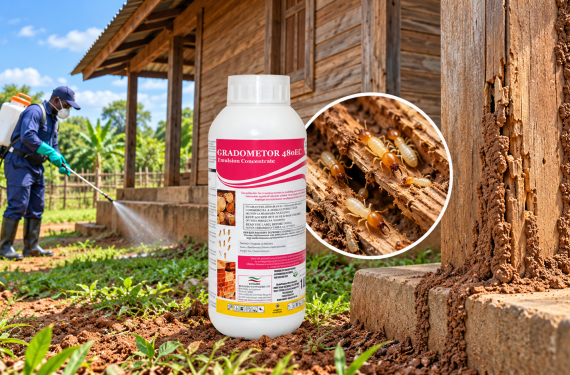 Termite Protection _Gradometor_Kenagro East Africa | Kenagro East Africa Pest control worker spraying termite treatment around a wooden house; foreground shows Gradometer Emulsion Concentrate bottle.
